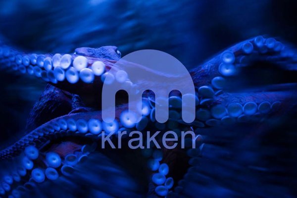 Kraken istand onion ссылка