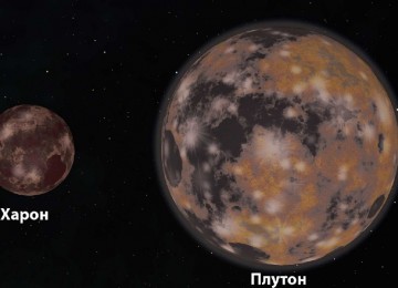 Где купить наркоты